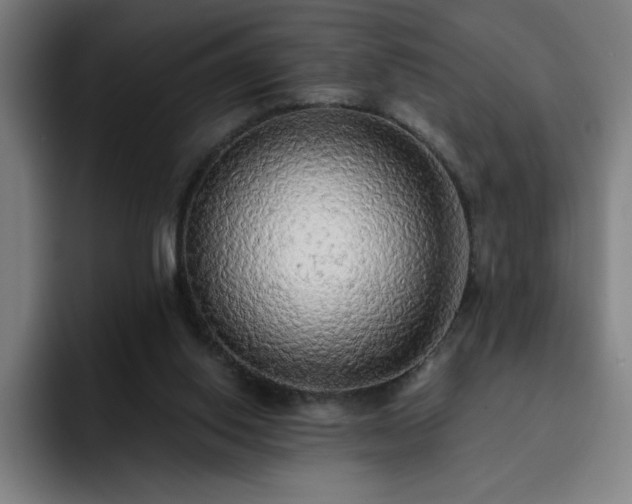 X0000092320062200709211337