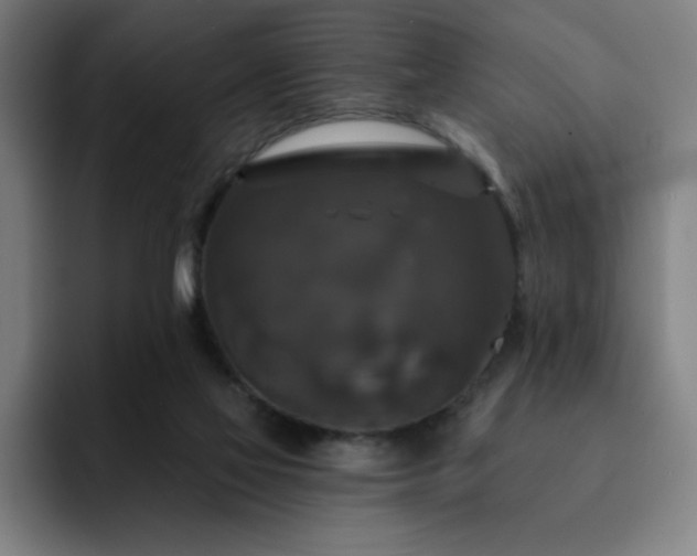 X0000092320069200709211337