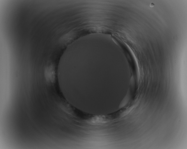 X0000092320080200709211337