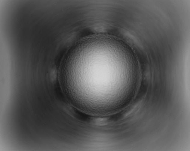 X0000092320081200709211337