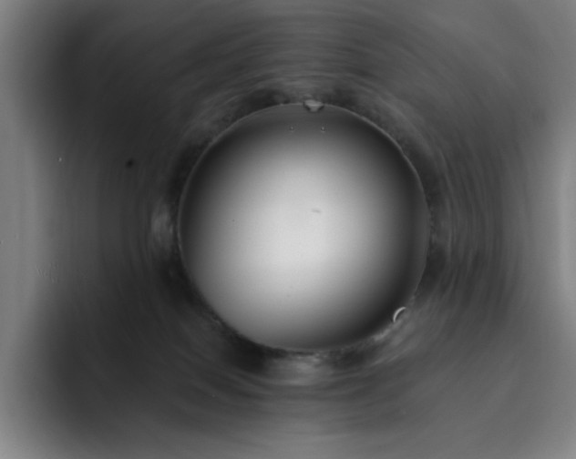 X0000092320086200709211337