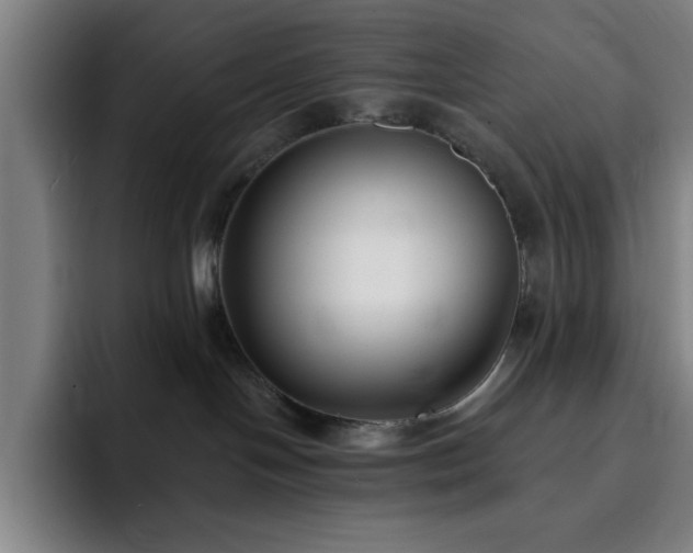 X0000092320094200709211337