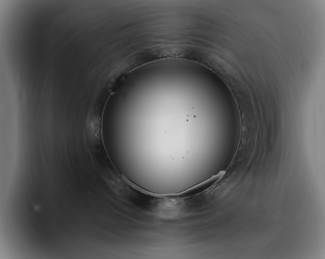 X0000092320096200709211337