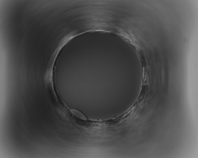 X0000092320099200709211336