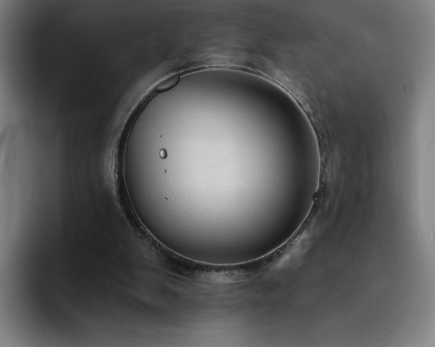 X0000092320103200709211336