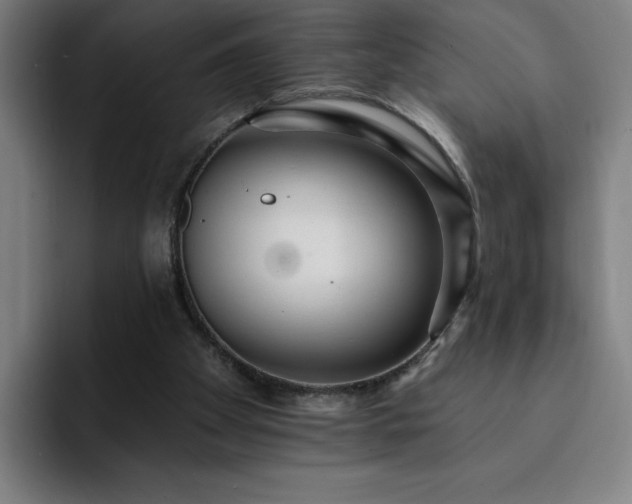 X0000092320105200709211336