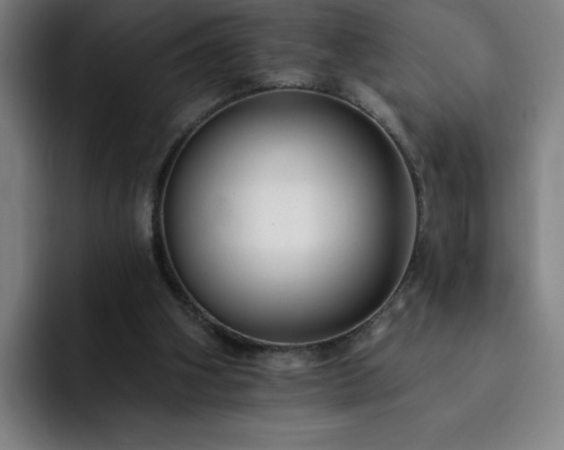X0000092320106200709211336