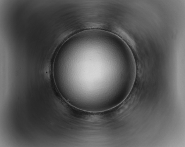 X0000092320107200709211336