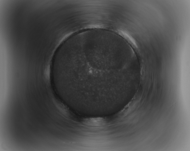 X0000092320108200709211336