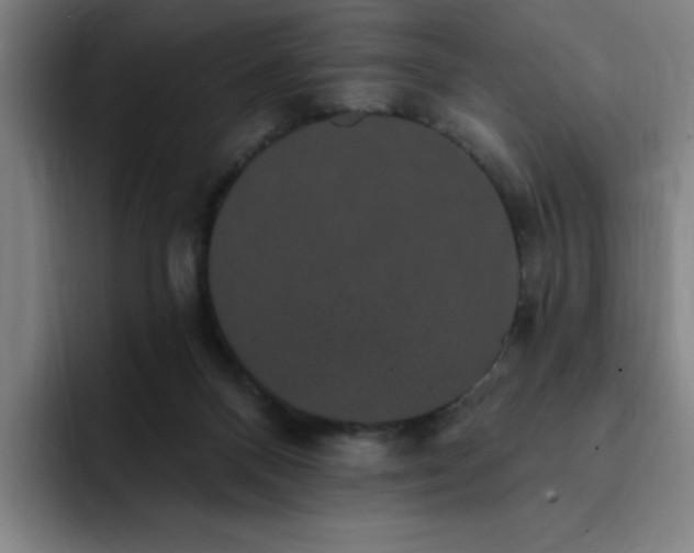X0000092320120200709211336