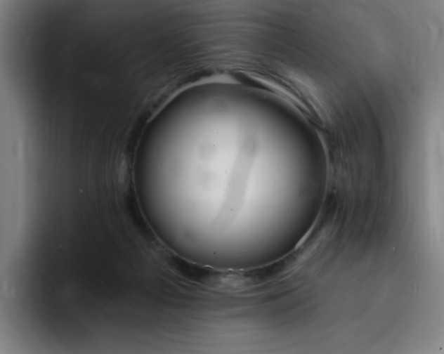 X0000092320121200709211336
