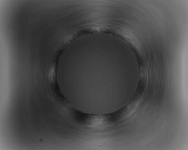 X0000092320127200709211336