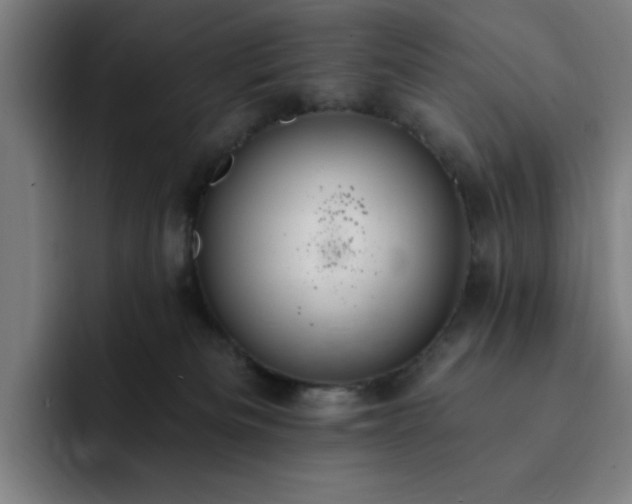 X0000092320133200709211336