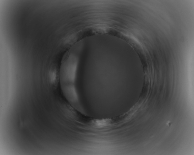 X0000092320134200709211336