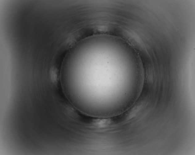 X0000092320135200709211336
