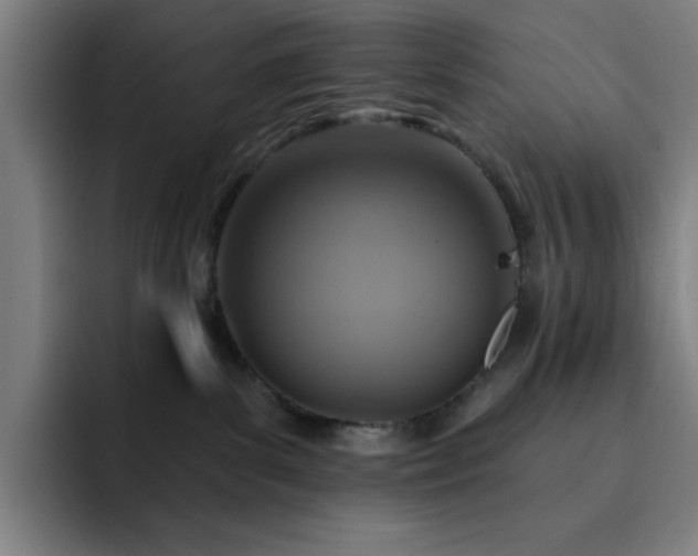 X0000092320139200709211336