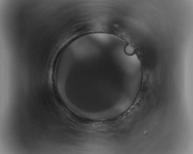 X0000092320146200709211335