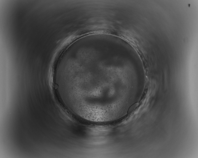 X0000092320149200709211335