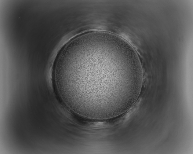 X0000092320151200709211335