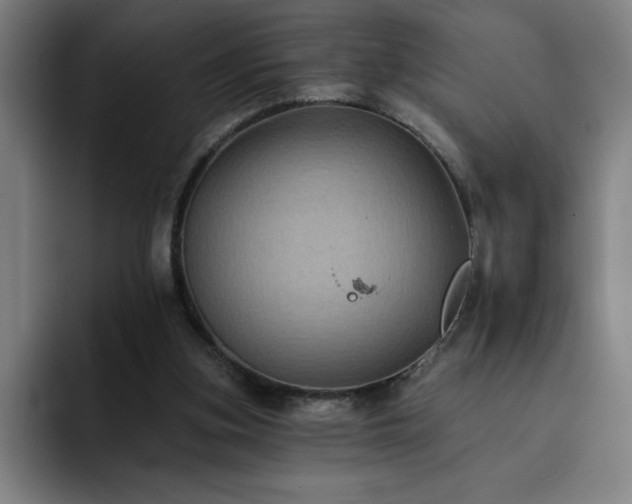 X0000092320155200709211335