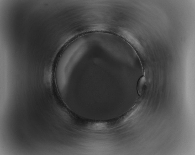 X0000092320156200709211335