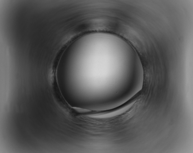 X0000092320160200709211336