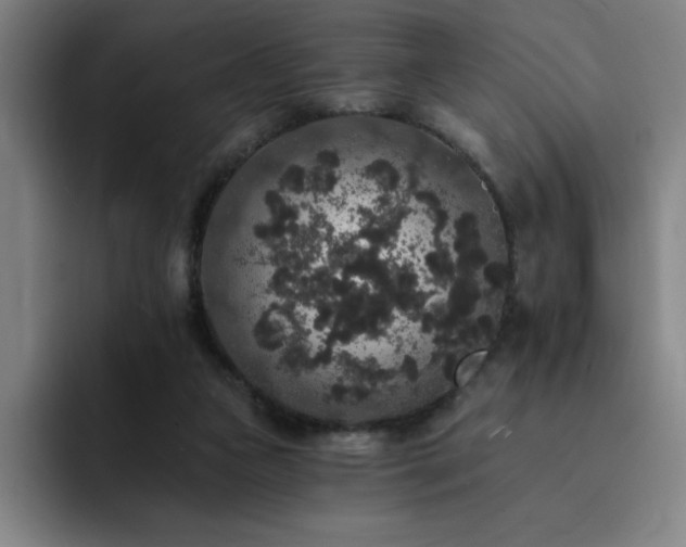 X0000092320161200709211336