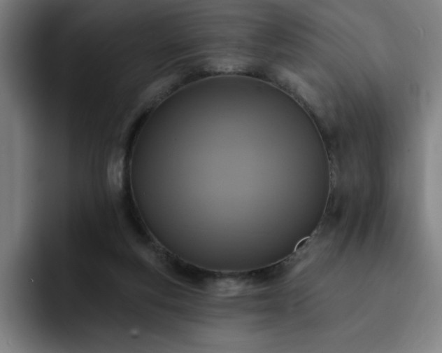 X0000092320163200709211336