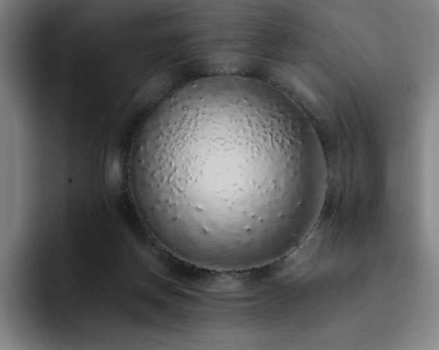 X0000092320166200709211336