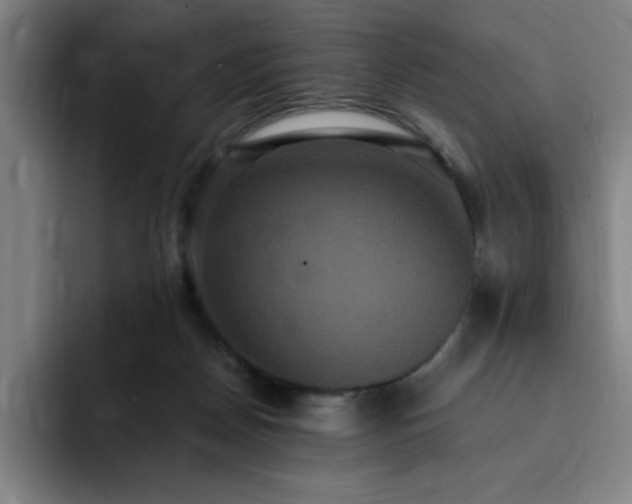 X0000092320170200709211336
