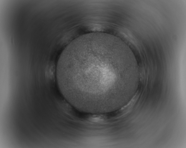 X0000092320175200709211336