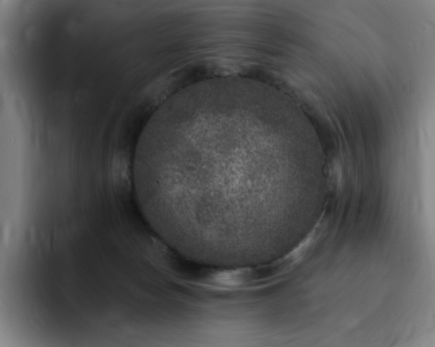 X0000092320178200709211336