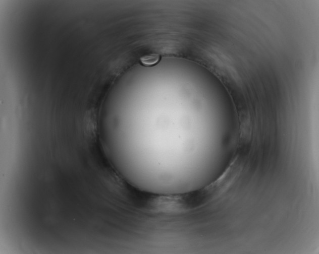 X0000092320179200709211336