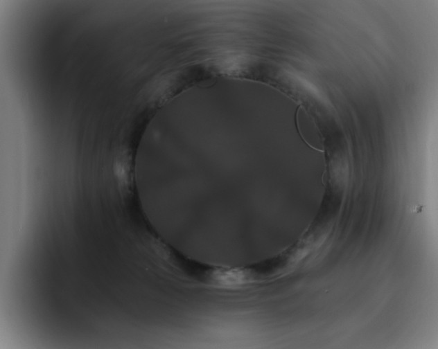 X0000092320181200709211336