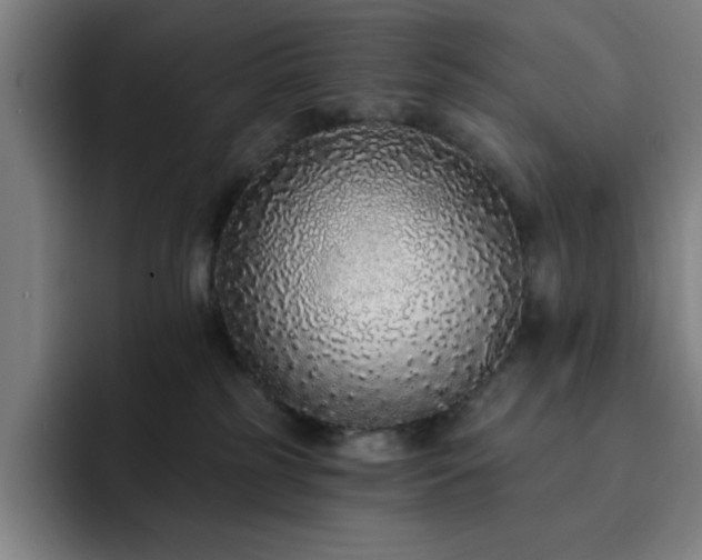 X0000092320185200709211336