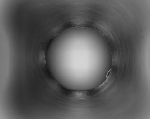 X0000092320187200709211336