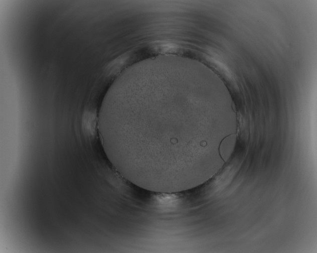 X0000092320189200709211336