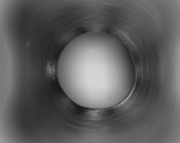 X0000092320190200709211336