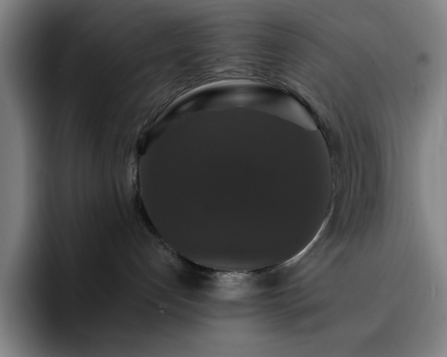 X0000092320192200709211336