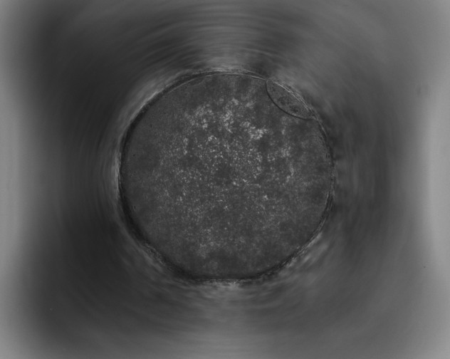 X0000092320194200709211335