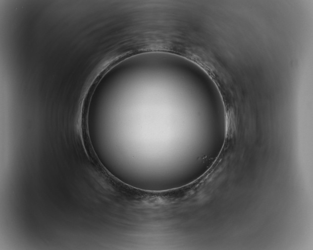 X0000092320195200709211335