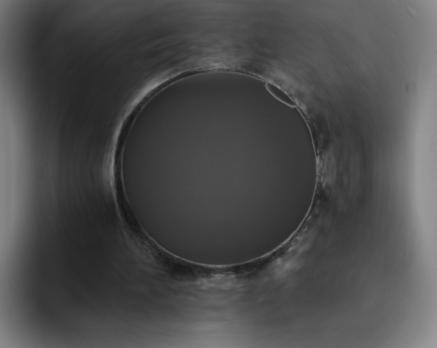 X0000092320196200709211335