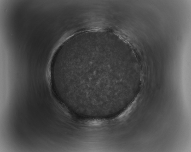X0000092320198200709211335