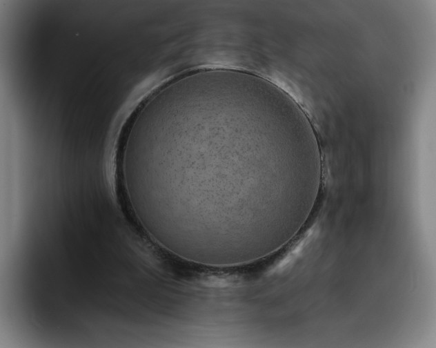X0000092320199200709211335