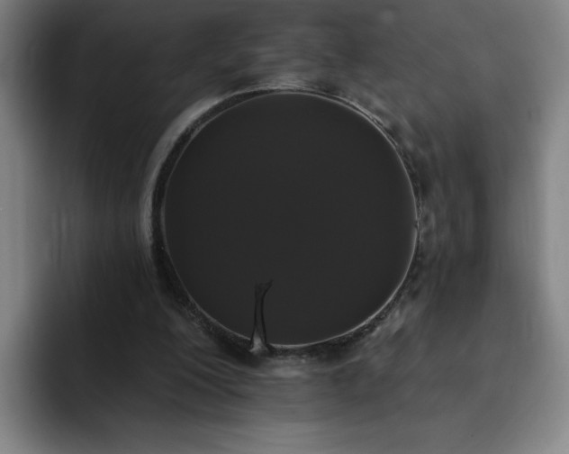 X0000092320200200709211335