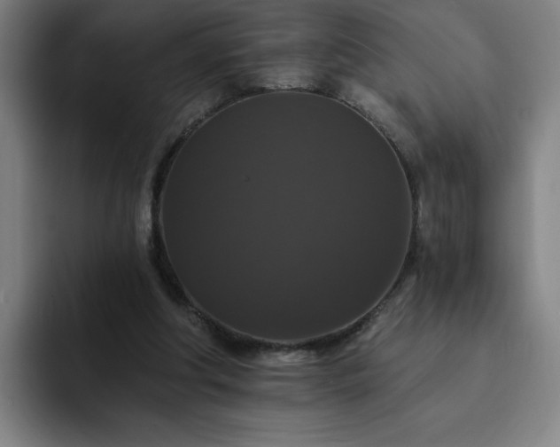 X0000092320202200709211335