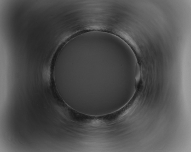 X0000092320204200709211335