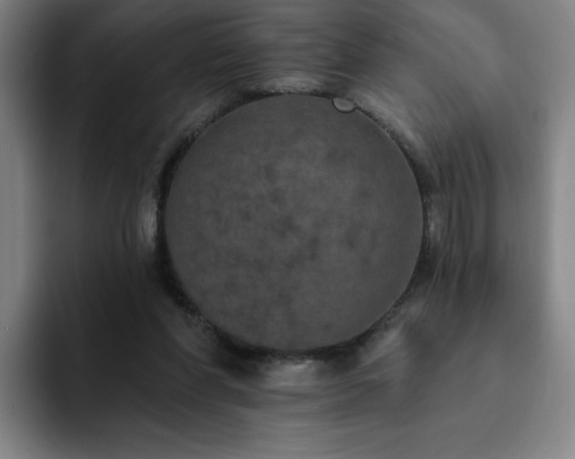 X0000092320206200709211335