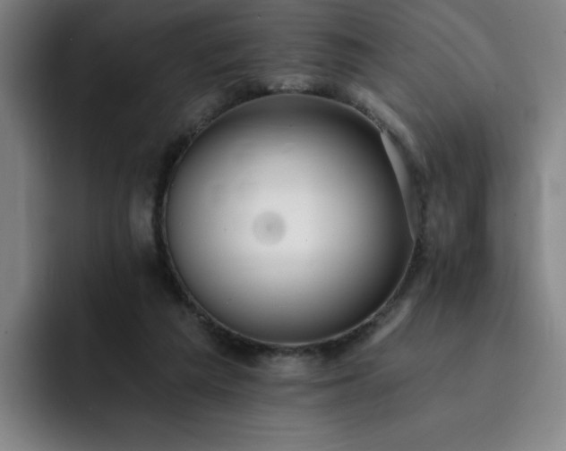 X0000092320209200709211335