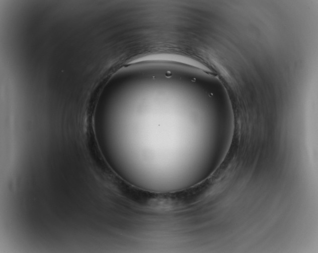 X0000092320211200709211335
